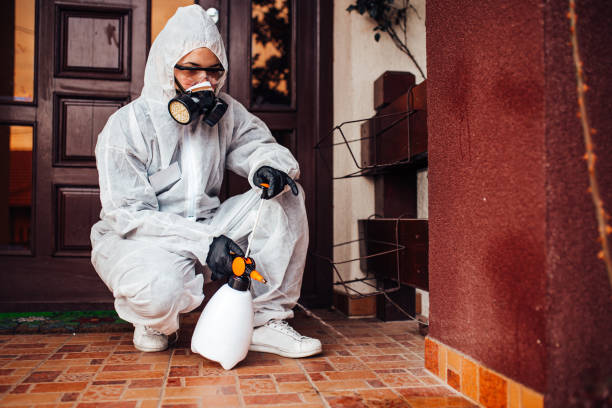 Attic and Crawl Space Rodent Treatment in American Canyon